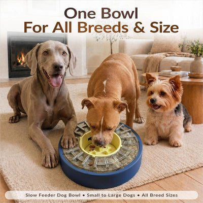 Smart Slow Feeder Dog Bowl – Interactive Puzzle & Anti-Gulping Design